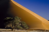 BE: Küchler Namibia