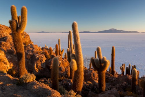 Fotoreise Altiplano 2016